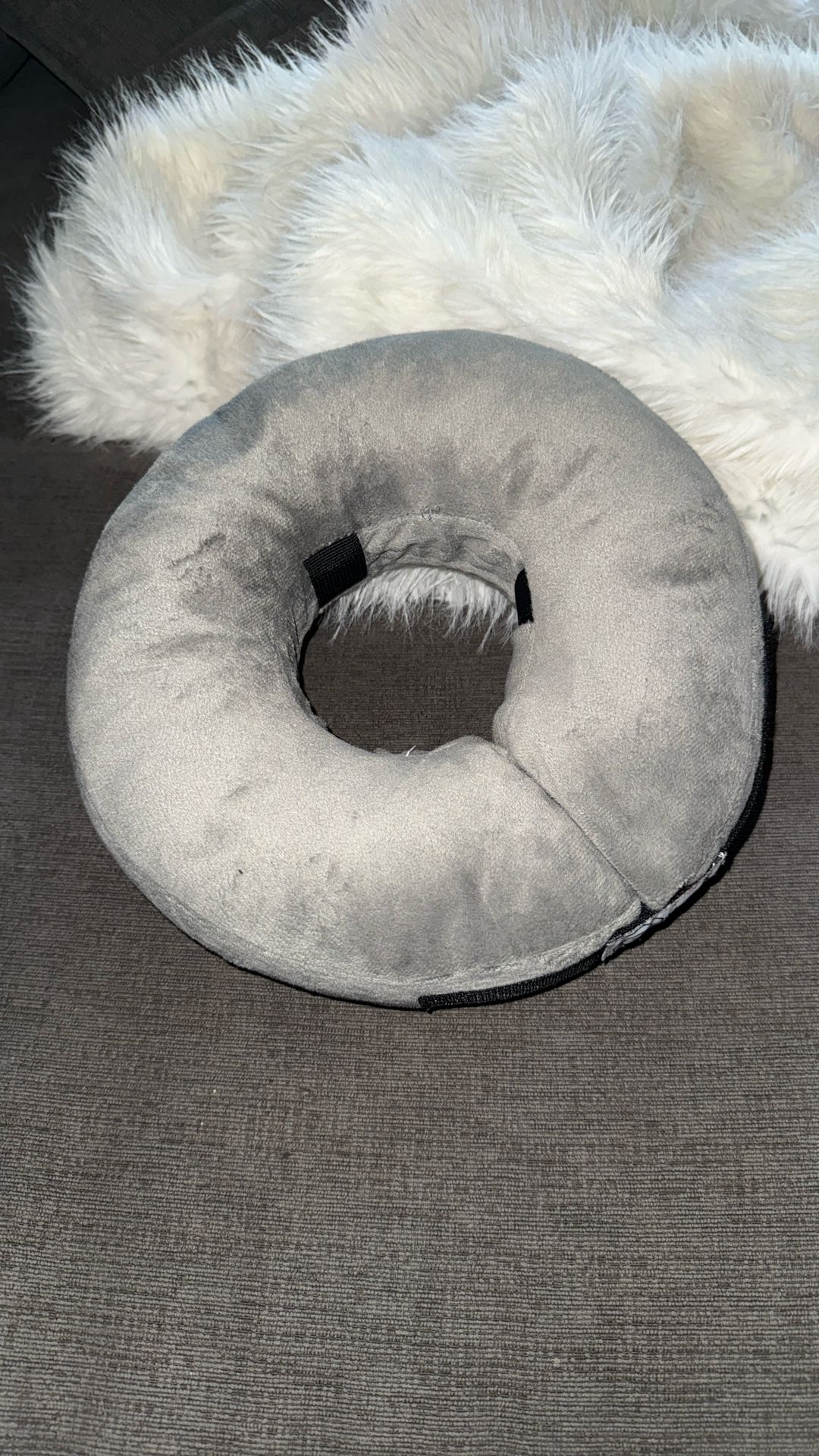 Comfurt Dog Collar Size Small - Gray