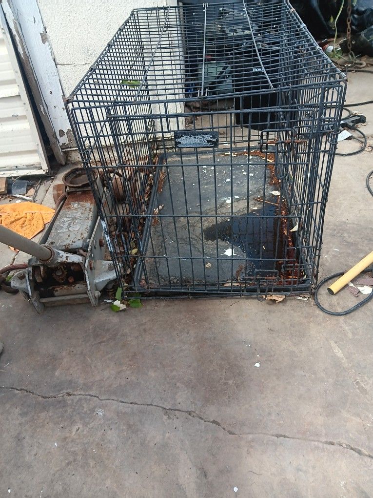 Kennel
