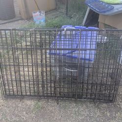 Medium Sized Cage