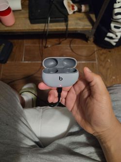 Beat Bud's (case only)