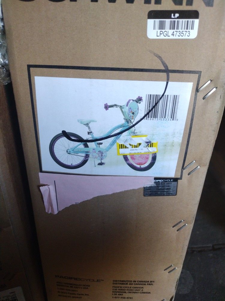 Schwinn Deelite 20" Kids' Bike - Mint Green