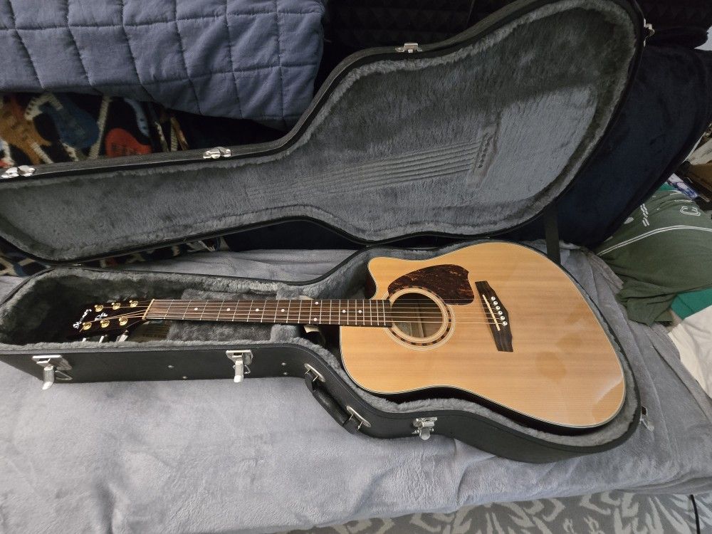 Ibanez Acoustic Dreadnought