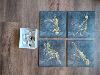 Dinosaur wall art and shower curtain rings