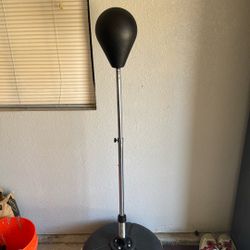 Punching Bag 