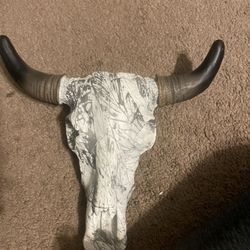 cow skull
