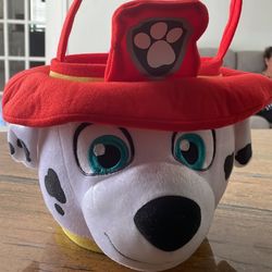 Paw Patrol Basket