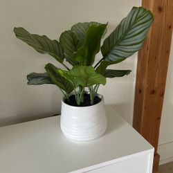 Decorative Artificial Potted Plant