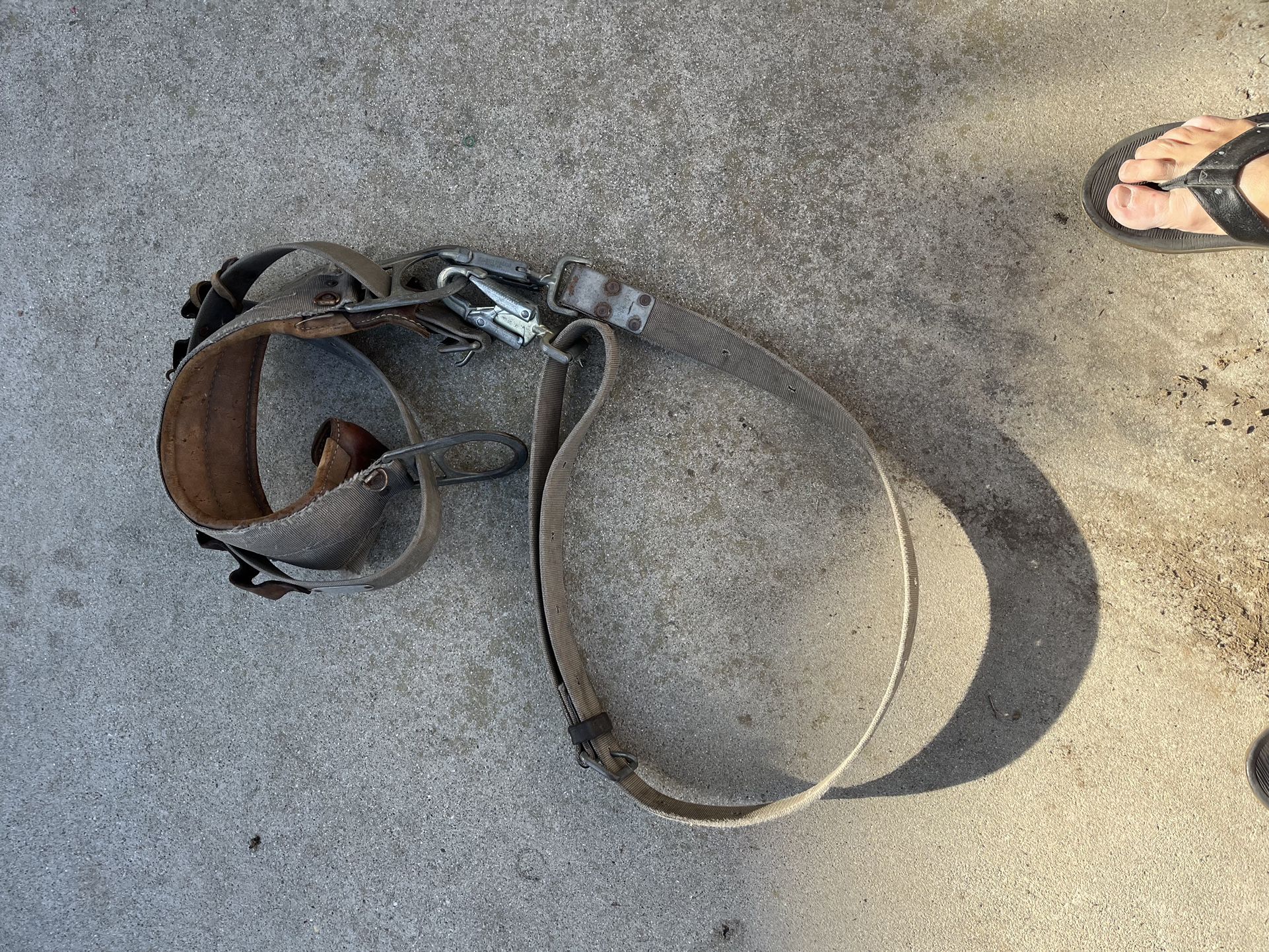 Climbing Belt