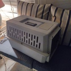 Medium Size "Pet Taxi"