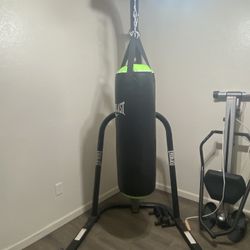 boxing bag Everlast