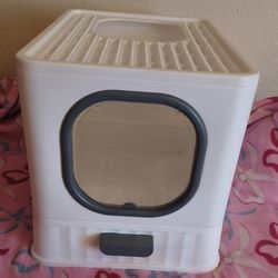 cat litter box 
