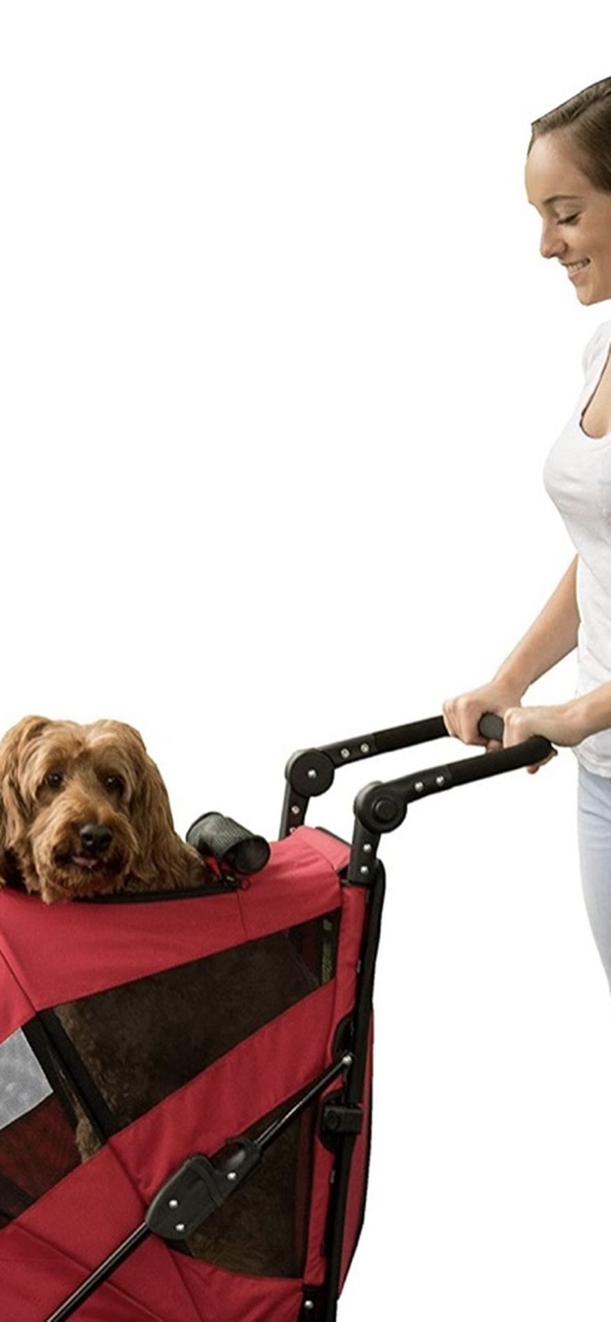 Dog stroller “ Pet Gear” #1 Amazon