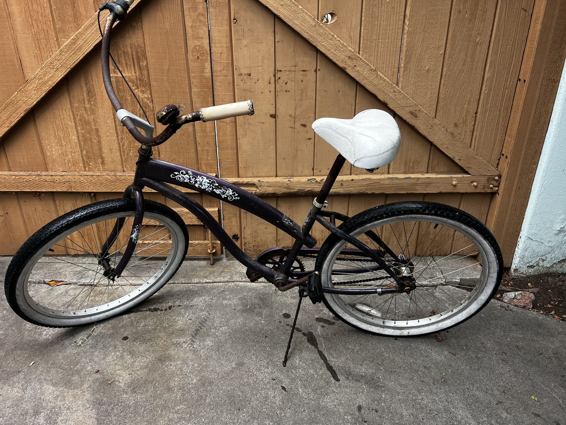 Rusty But Trusty Beach Cruiser