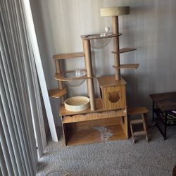 Cat Tower