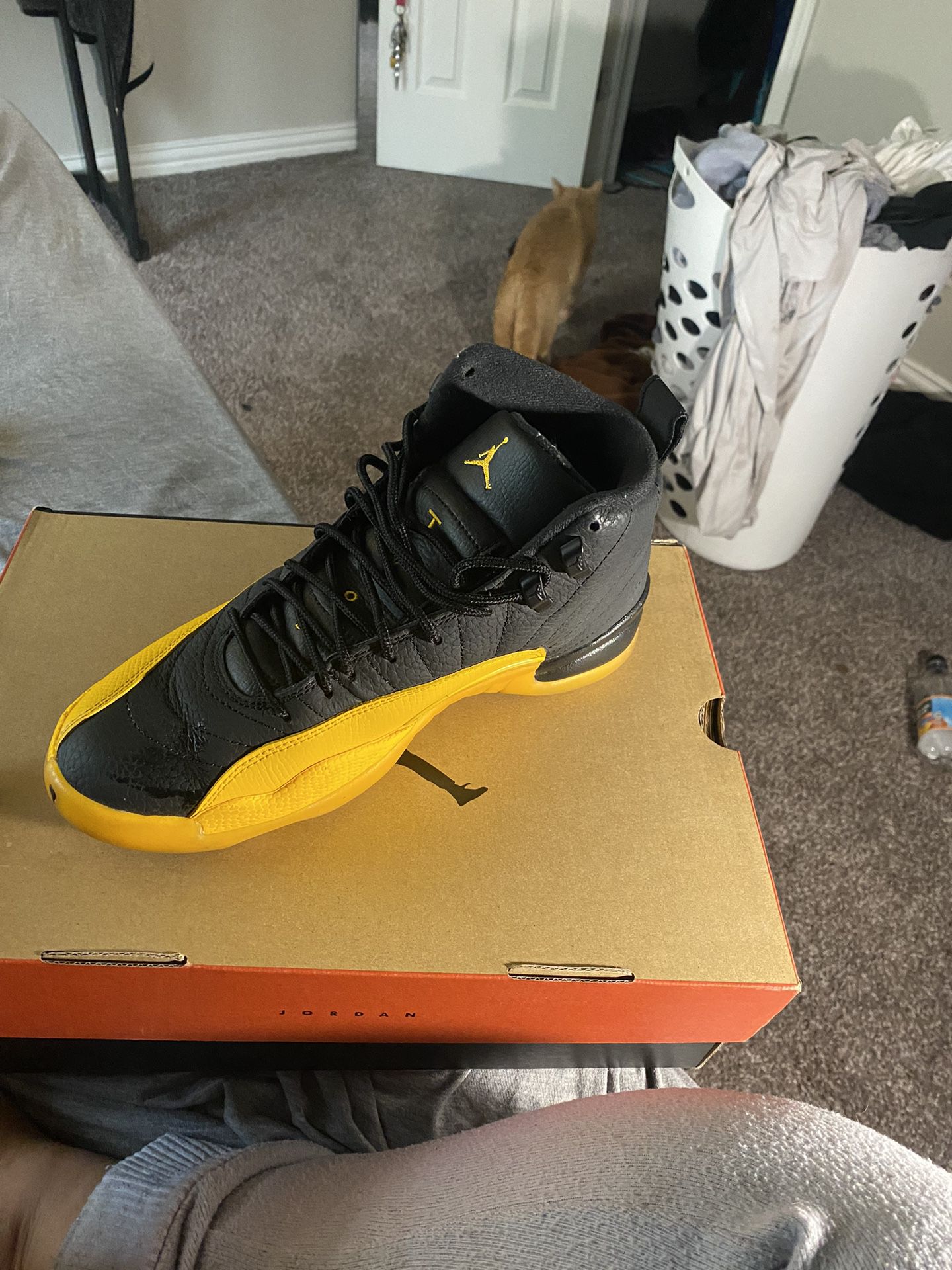 Black And Yellow Jordan 12s 