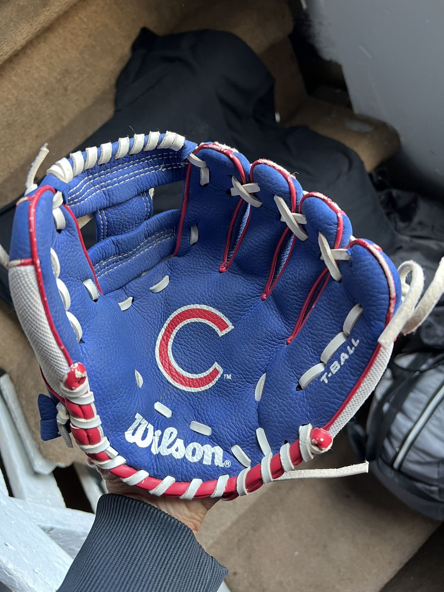 Chicago cubs Baseball Glove