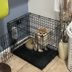 Dog Cage 