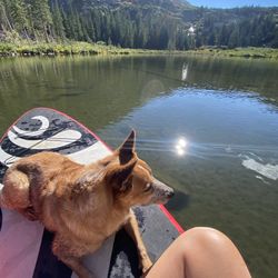 SUP, Inflatable Paddleboard