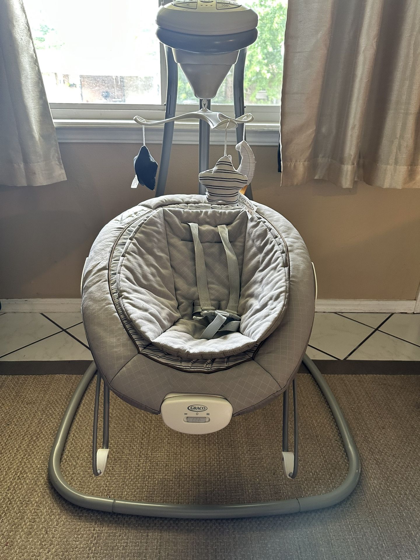 Graco Baby Bouncer & Swing