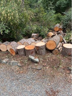 Free wood