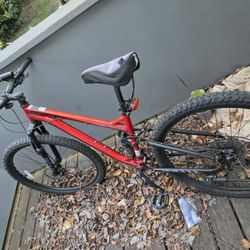 Bike 29'