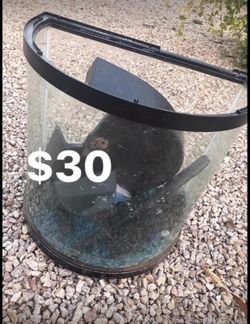 Fish tank