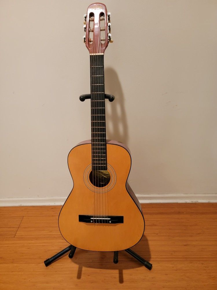 Guitar