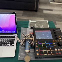 🎤 Blue Bluebird SL XLR Condenser Microphone – $60 (Firm)