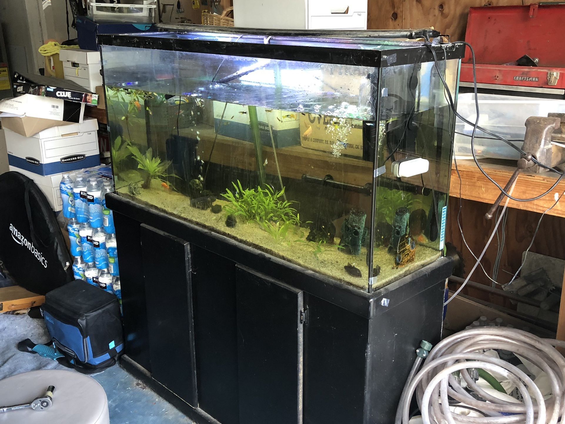 75 Gallon Aquarium