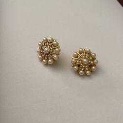 Clip On Earrings (Jewelry )