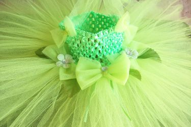 Disney Tinkerbell fairy Tutu dress