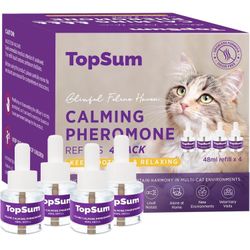 For cat cat