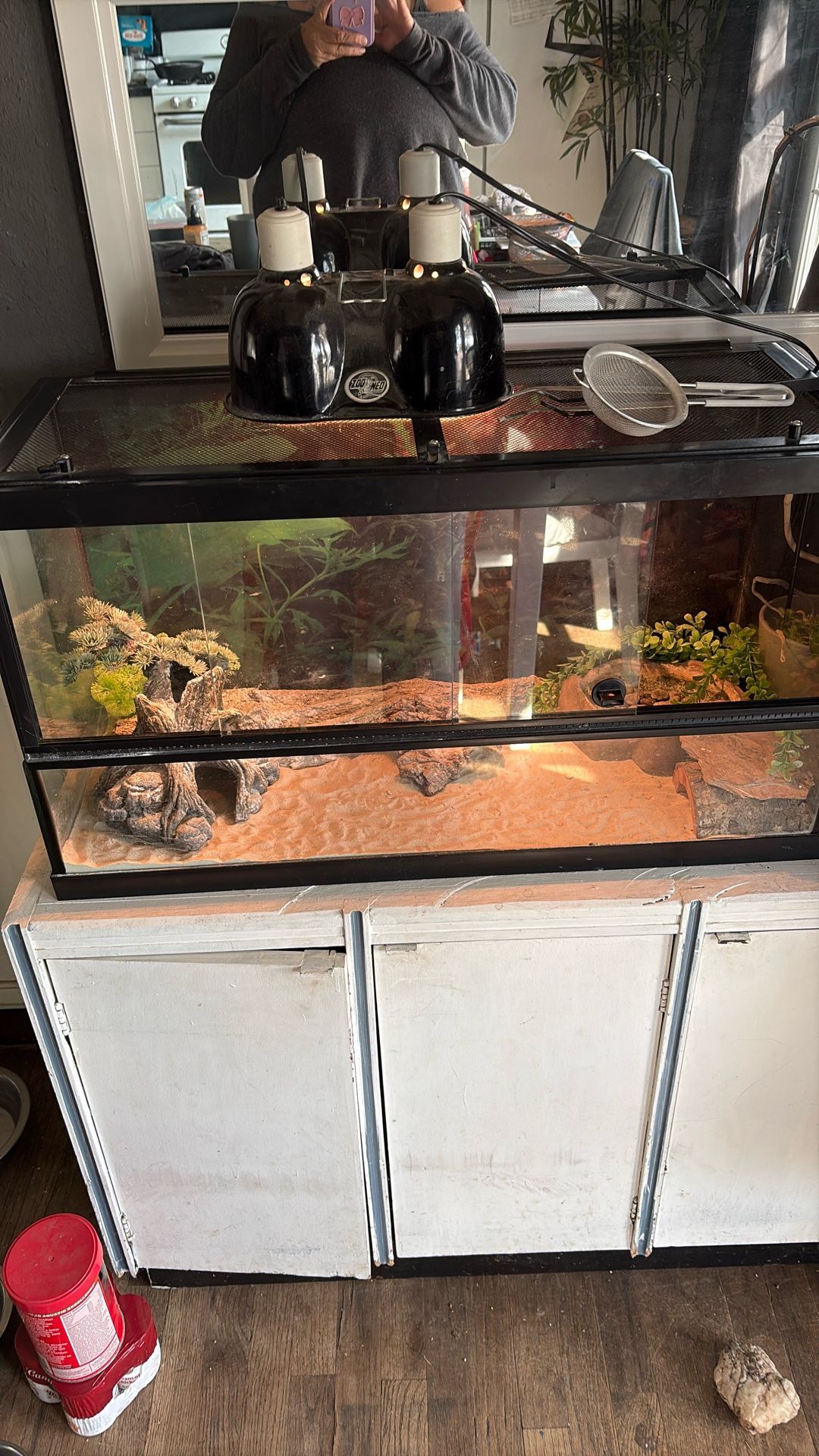 Reptile Tank 40 Gallon
