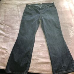 Women’s Size 22 Jeans