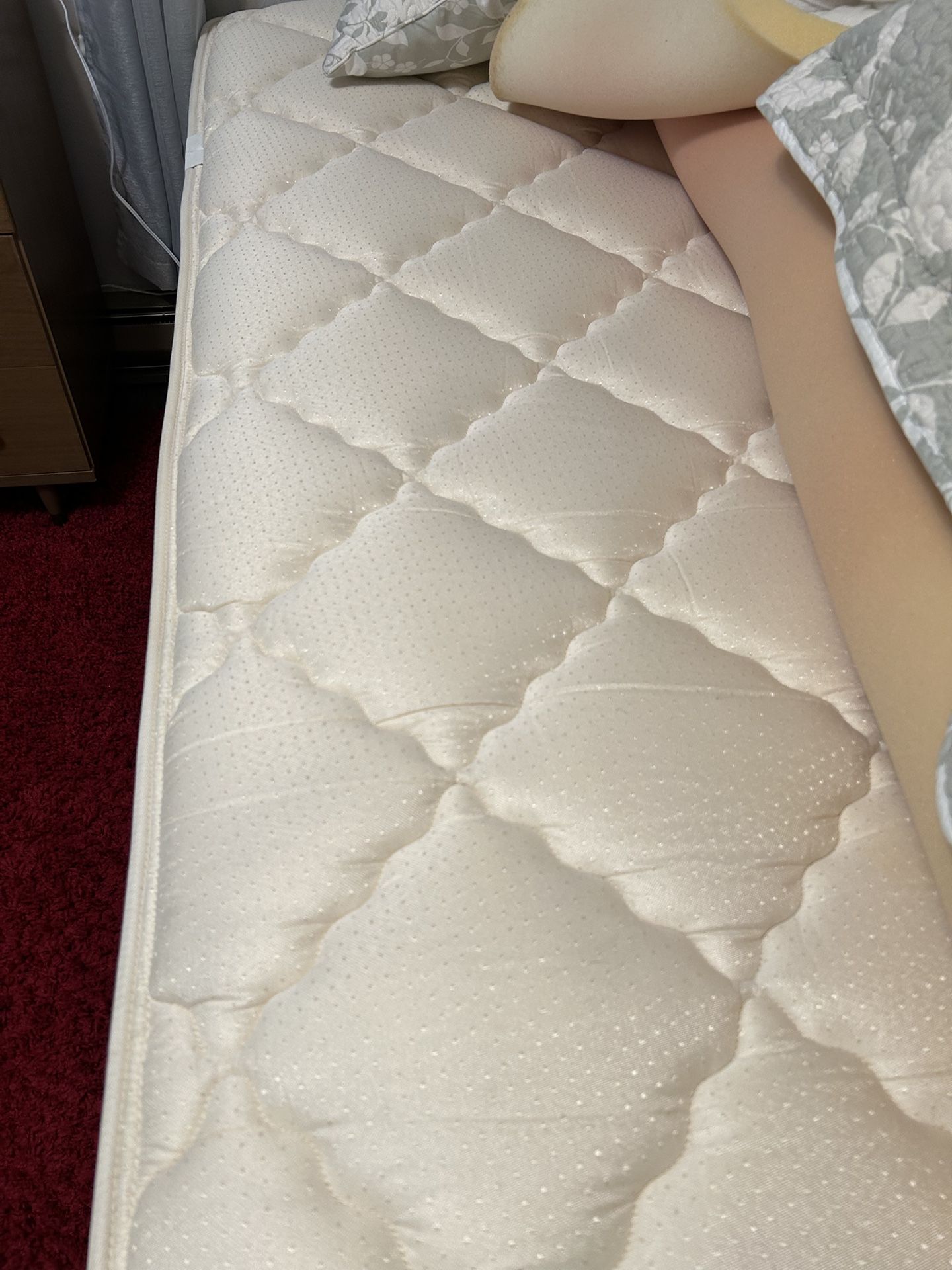 Twin Mattress, Box Spring And Frame