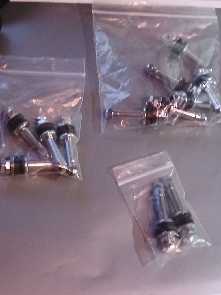 Replacement Tire Valves 2,4,6 Pack