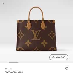 LV Bag