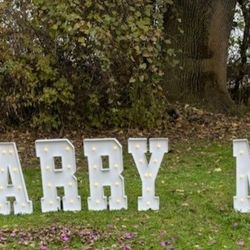 Engagement Light Up Sign