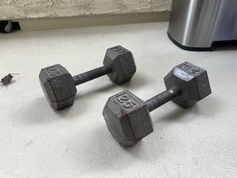 Dum Bells 25 Pounds