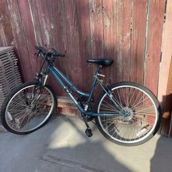 Roadmaster Bike