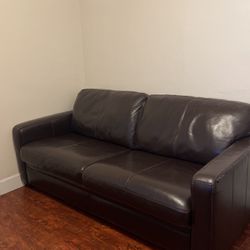 Two Seater Pull Out Couch