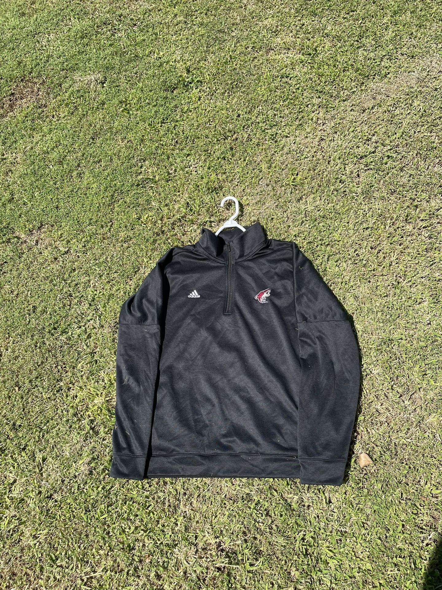 AZ Coyotes