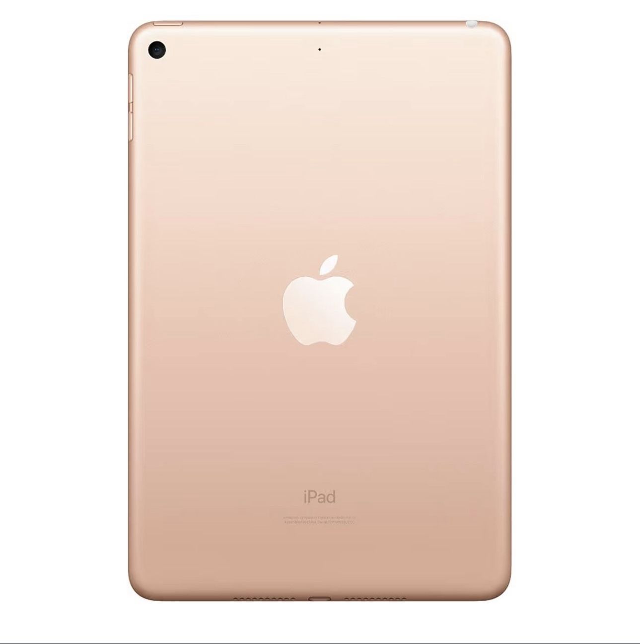 Apple iPad mini 5th Generation Wi-Fi, 64GB) - Gold Software Updated IPadOS 26.0.1