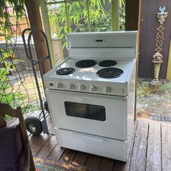 Electric Stove
