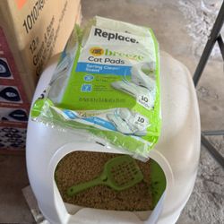 Litter Box