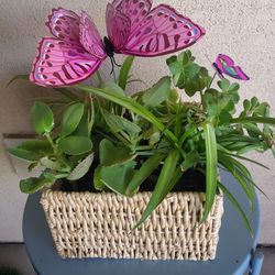 Beautiful Plant Basket For Mother's Day 