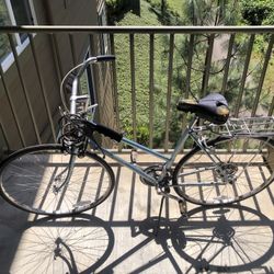 Adult Size Bike