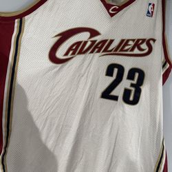 Reebok LeBron Jersey