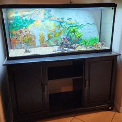 55 Gallon Aquarium Fish Tank & Stand