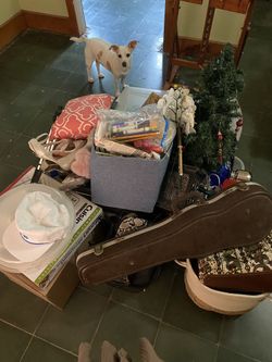 Free Stuff